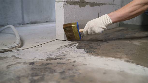 SJ Waterproofing Pros Waterproofing coverage map for Allardt, TN and surrounding area